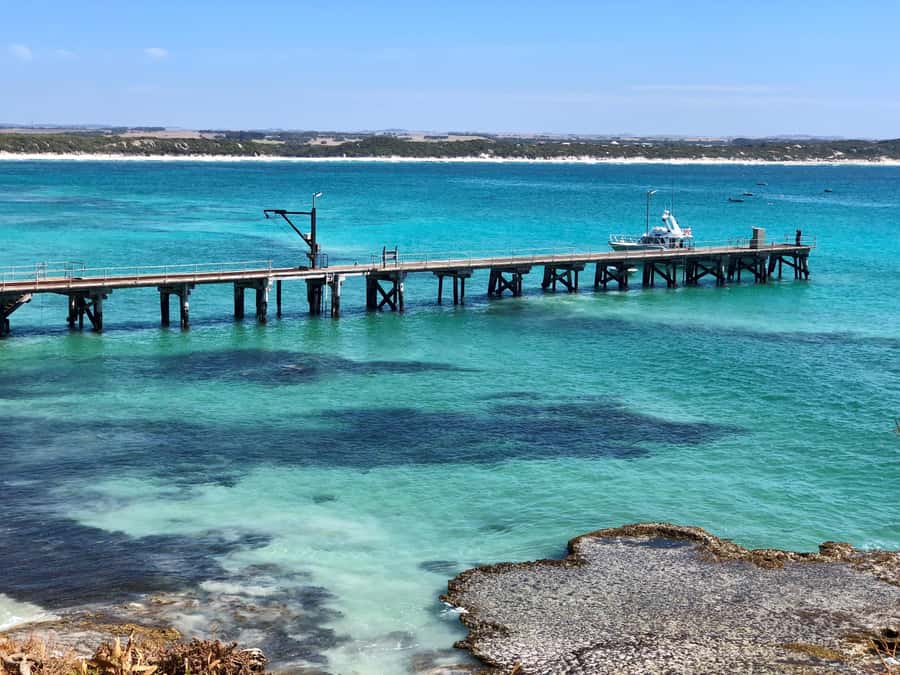 Penneshaw: Shore Excursion Kangaroo Island Scenic Tour - Who this tour fits best