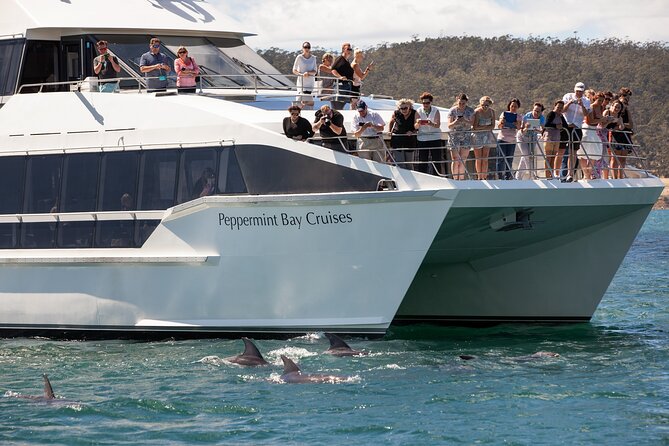 Peppermint Bay Cruise & Lunch - Derwent River to Peppermint Bay: what this day is really about