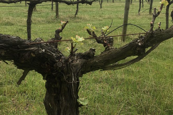 Personalised wine tour experience in the beautiful NSW Southern Highlands - Price and value: is $175.72 per person worth it here?