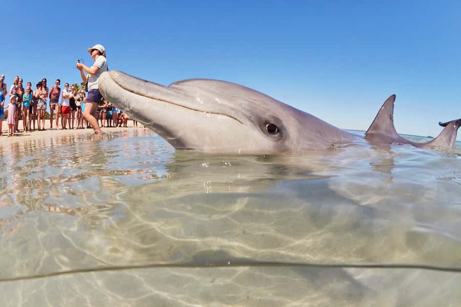 Perth: 7 Day Exmouth Explorer & Ningaloo Reef Return Perth - How Fit You Need To Be (And Why the Walks Matter)
