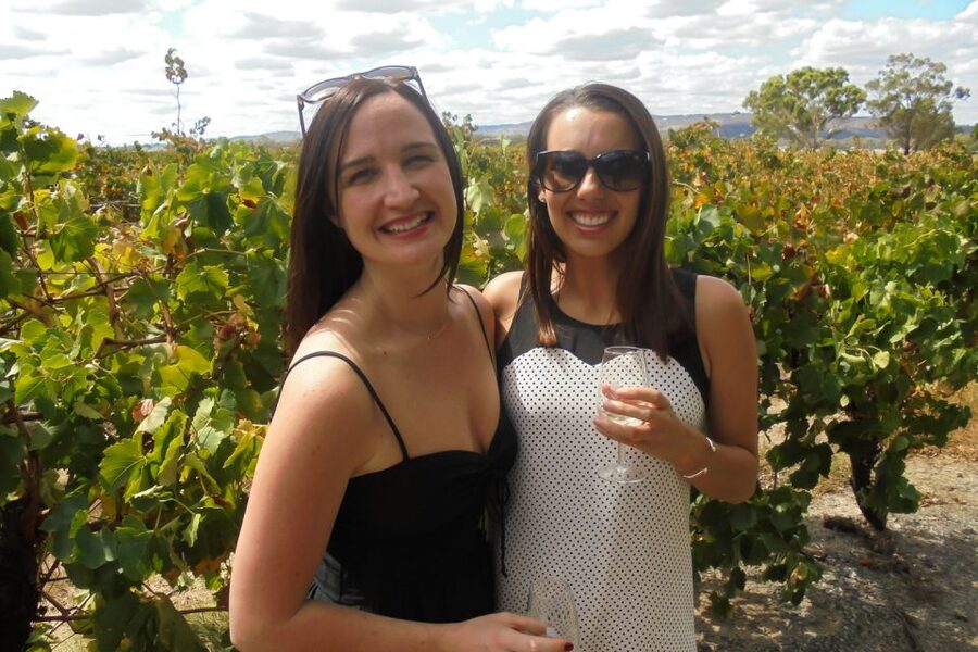 Perth: Full Day Swan Valley Cruise & Wine Tasting With Lunch - Coach tour energy: moving through the Swan Valley tastings