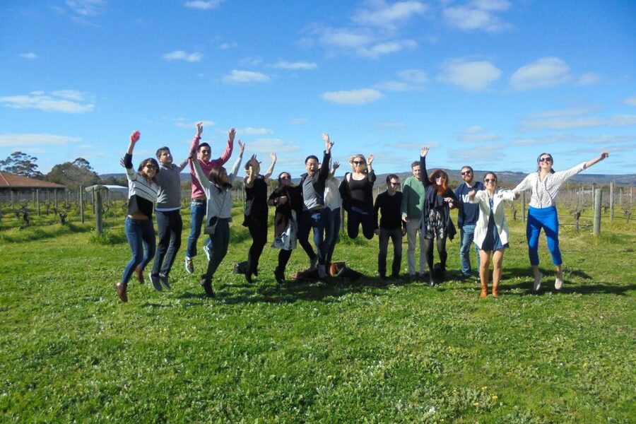 Perth: Full Day Swan Valley Cruise & Wine Tasting With Lunch - Who this Swan Valley day trip is perfect for