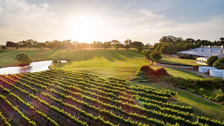 Perth: Full Day Swan Valley Cruise & Wine Tasting With Lunch - The on-board wine tasting: WA pours before the bus