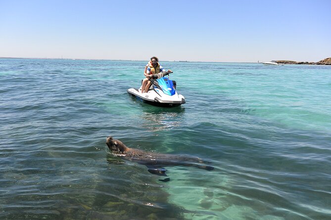 Perth Jet Ski Tour - What safety feels like on the water