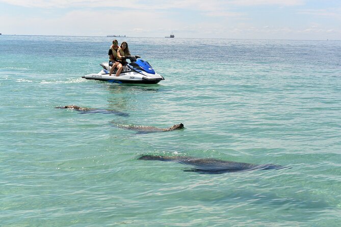 Perth Jet Ski Tour - Price and value: is $186.48 per group fair?