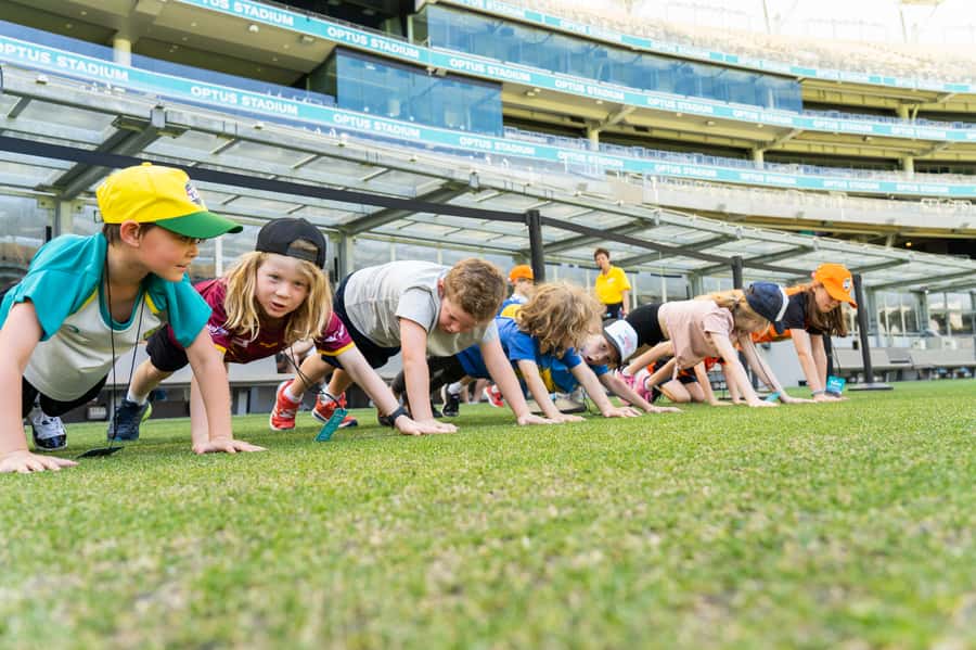 Perth: Optus Stadium Guided Tour - Check in at The OZONE under City View Cafe, past Gate D