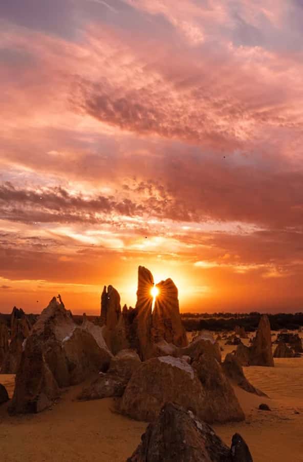 Perth: Pinnacles Desert Sunset & Stargazing with Dinner - From Perth to Yanchep National Park: Wildlife First, Then Big Open Sky