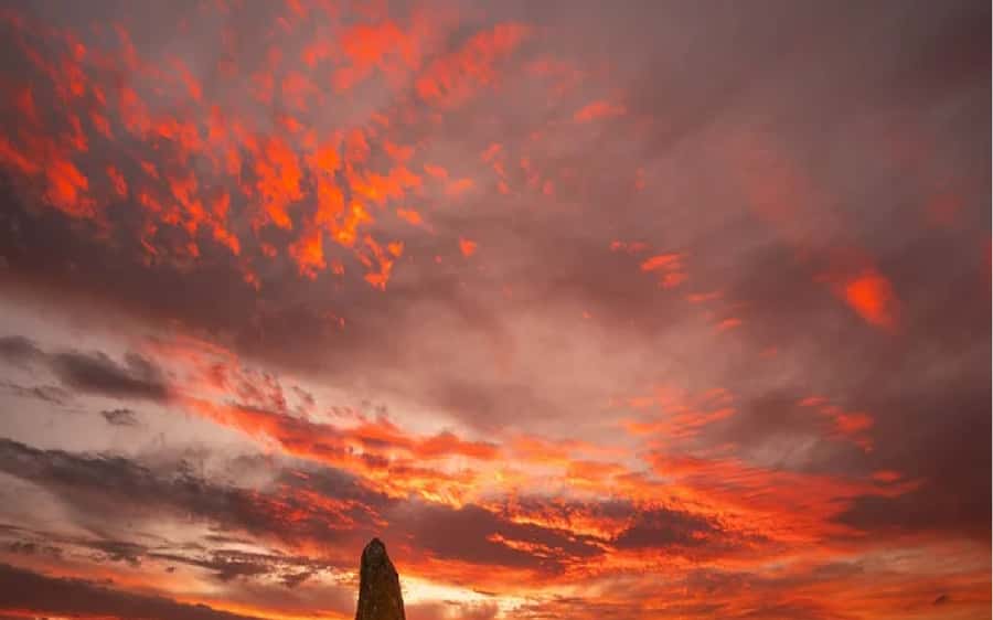Perth: Pinnacles Desert Sunset & Stargazing with Dinner - Cervantes Dinner: A Real-World Aussie Pub Break in a Fishing Town