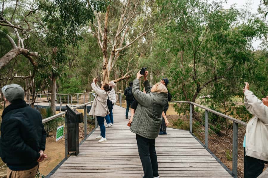 Perth: Pinnacles Desert Sunset & Stargazing with Dinner - After Dinner Stargazing: What You Get Under Real Dark Skies