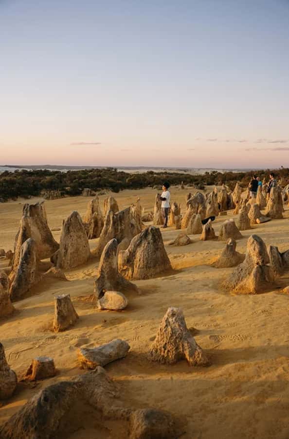 Perth: Pinnacles Desert Sunset & Stargazing with Dinner - Who This Trip Suits Best, and Who Might Feel Less Happy