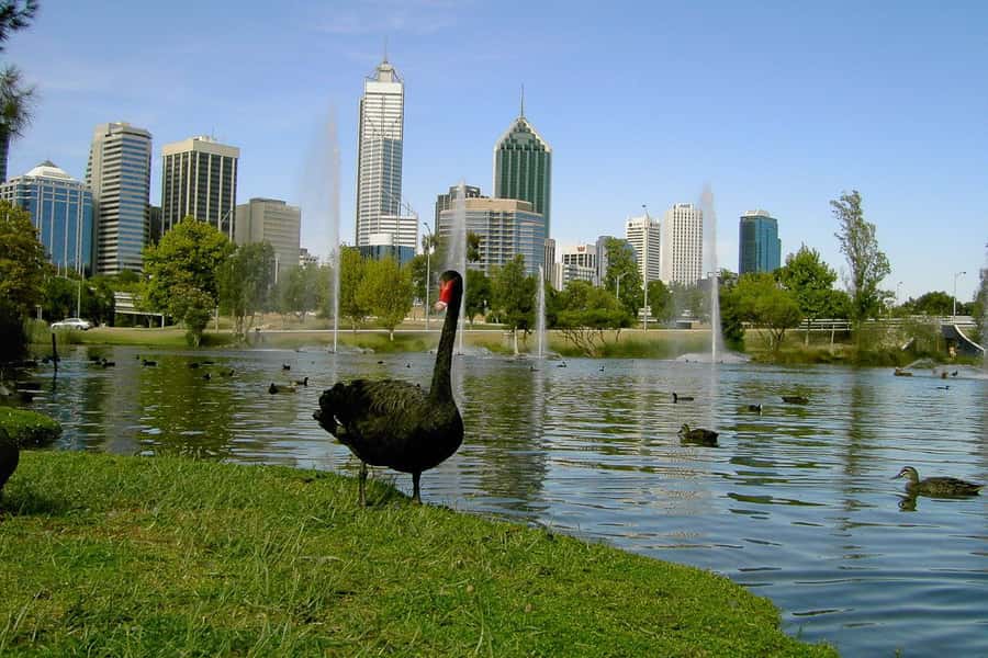 Perth Riverside Segway Tour - Past the Perth Bell Tower, then into the new Elizabeth Quay