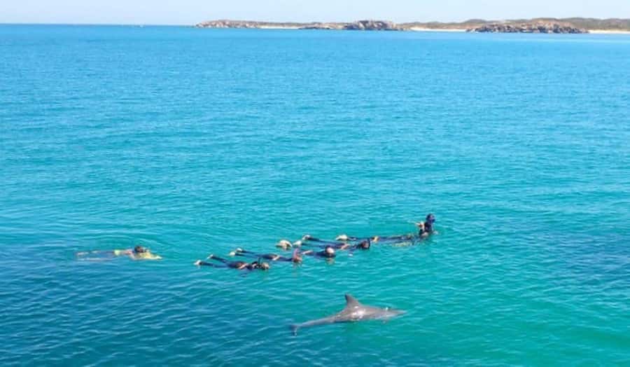 Perth: Swim with Wild Dolphins Tour - Turn-Taking and Safety: How Everyone Gets a Fair Shot