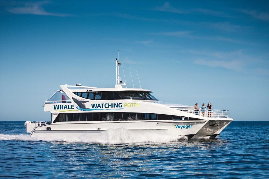 Perth: Whale Watching Cruise from Hillarys Boat Harbour - Comfort and extras: bar, snacks, and choosing your spot on deck