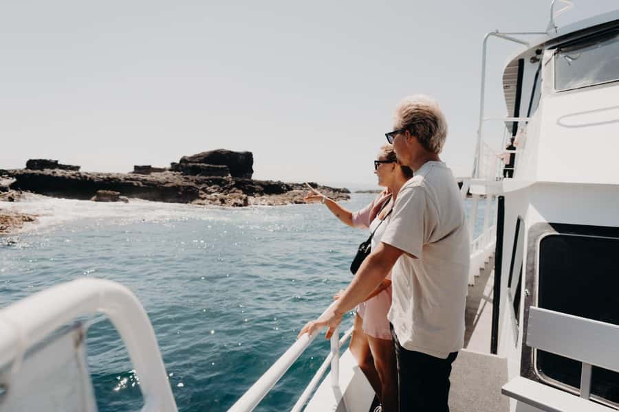 Philip Island: Seal Watching Cruise - Comfort and viewing: tea, cake, and the warm undercover area