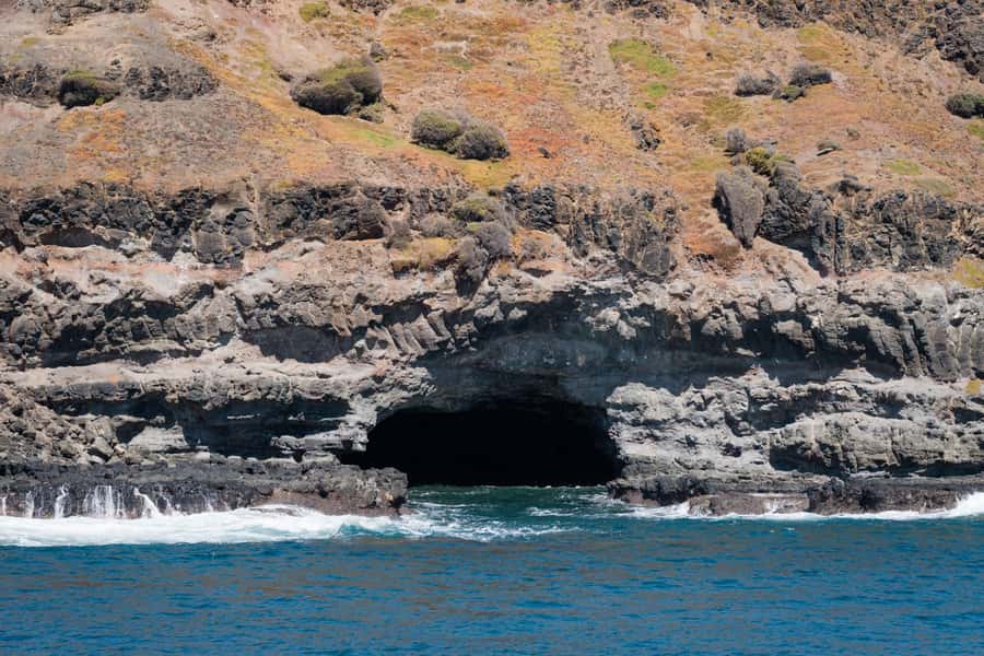 Philip Island: Seal Watching Cruise - Staff and boat handling: what consistency looks like