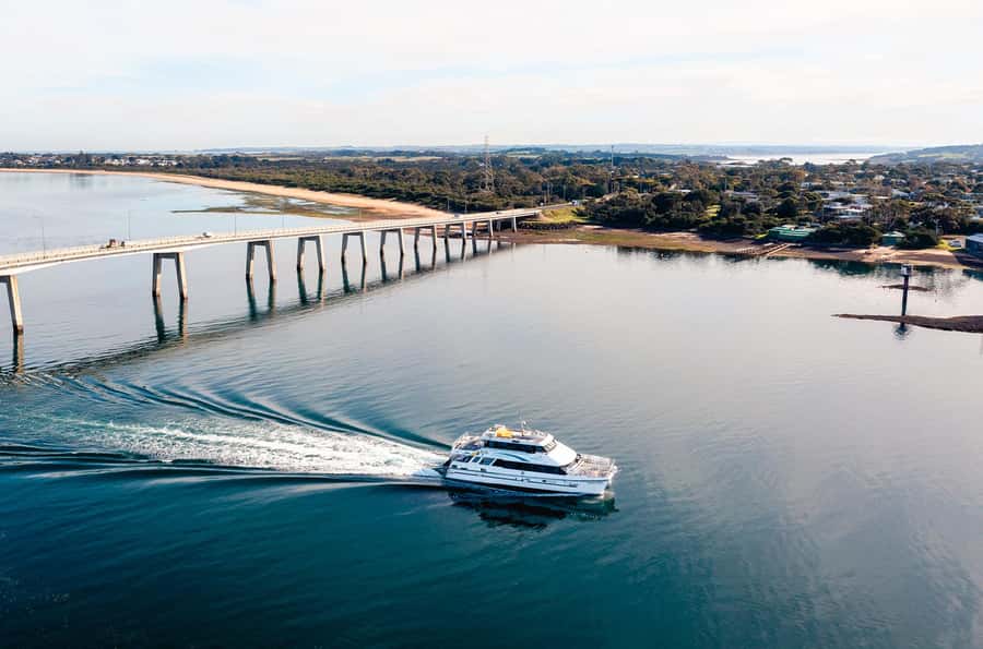 Phillip Island: 1-Hour Cape Woolamai Scenic Cruise - Price and value: $34 for a real coastal experience