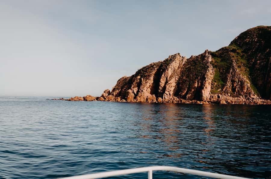Phillip Island: 1-Hour Cape Woolamai Scenic Cruise - Practical tips so your hour goes smoothly