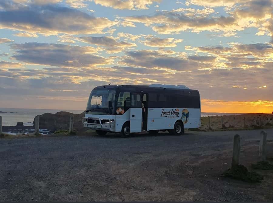 Phillip Island: Golden Hour Penguin Express Tour - Penguin Parade viewing: how to make general admission feel like the best option