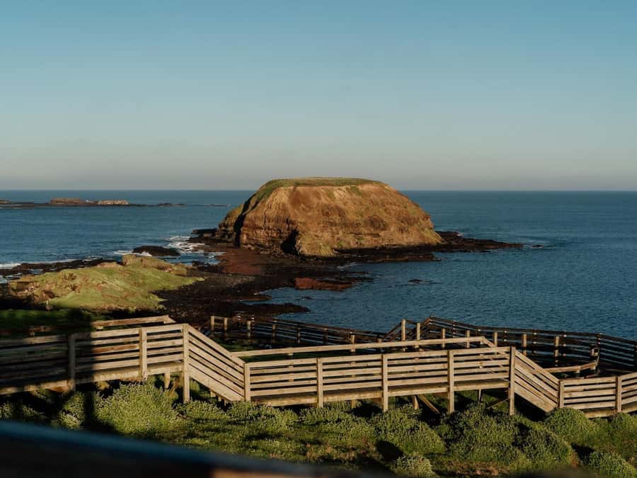 Phillip Island: Golden Hour Penguin Express Tour - What to bring, and the one rule to remember for photos