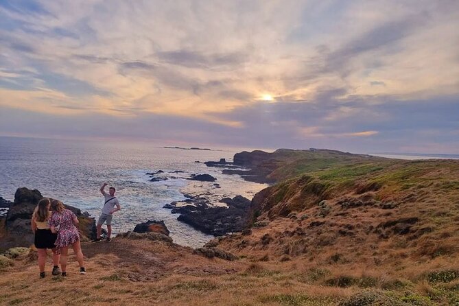 Phillip Island: Golden Hour Penguin Express Tour w/ Island Pickup - The Penguin Parade Experience, Visitor Centre Time, and Viewing Reality