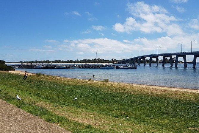 Phillip Island Penguin and wildlife Tour - Penguin Parade: the evening highlight, plus the cold-weather reality