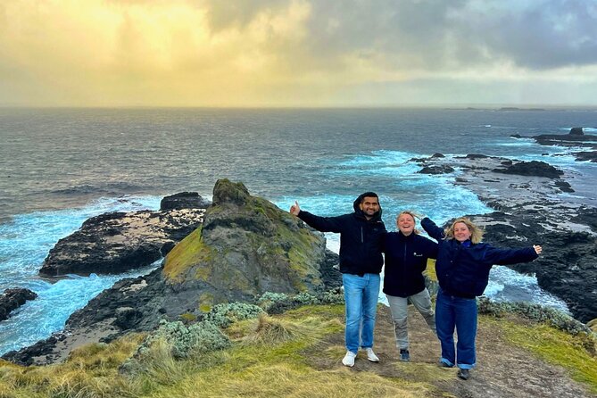 Phillip Island Penguin Parade Express Tour from Melbourne - The guided part: why the driver matters more than you think