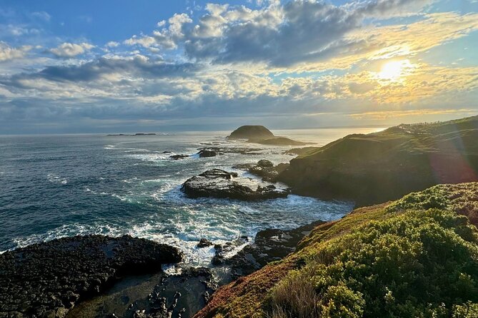 Phillip Island Penguin Parade Express Tour from Melbourne - What to bring (and what the penguin rules will make you leave behind)