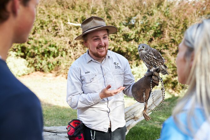 Phillip Island Penguin Parade, Wildlife and Beach Boxes Bus Tour - The 12-Hour Coach Day: Pickup, Timing, and How to Stay Comfortable