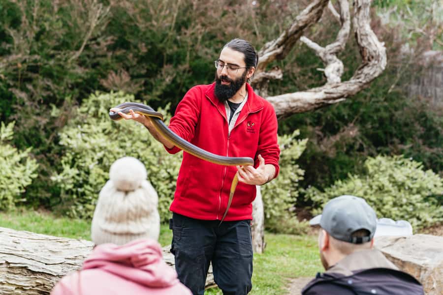 Phillip Island Penguin Parade with Expert Local Guide - What to pack so you enjoy the penguins, not just survive them
