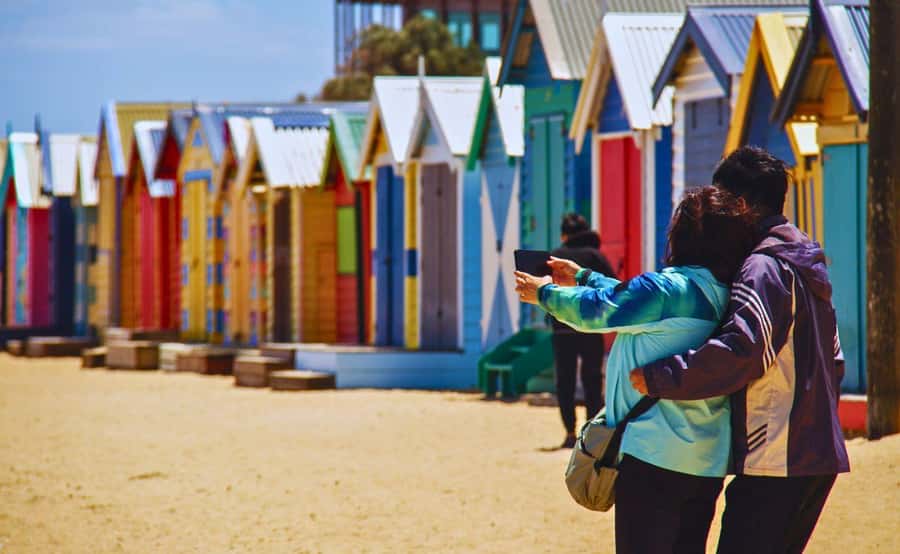 Phillip Island Penguin Parade with Expert Local Guide - Moonlit Sanctuary: where close encounters meet conservation thinking