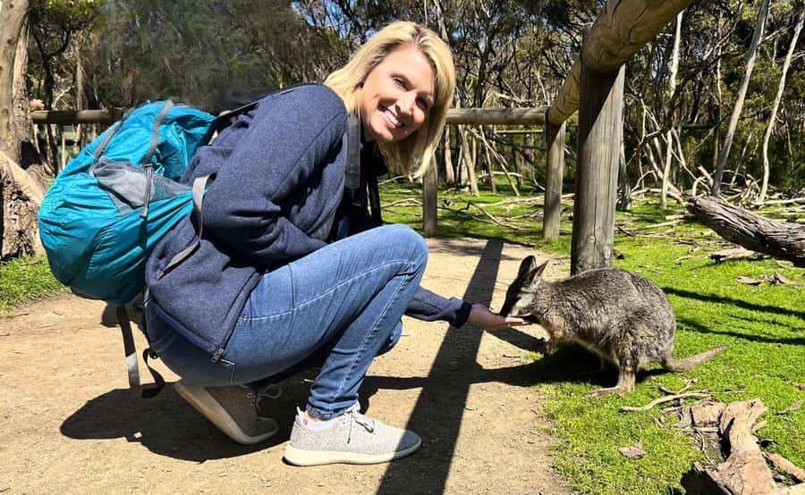 Phillip Island Penguin Parade with Expert Local Guide - What’s included, what costs extra, and what it means for value