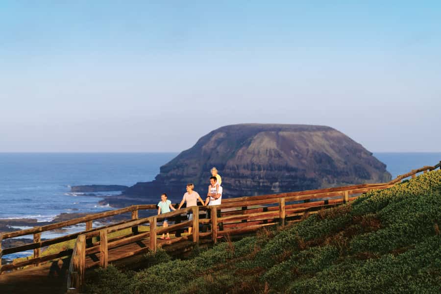 Phillip Island: Penguins and Wildlife Full-Day Tour - Nobbies, Cape Woolamai, and hunting wallabies along the coast