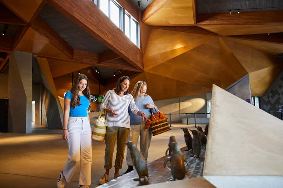 Phillip Island: Penguins and Wildlife Full-Day Tour - Penguin Parade at dusk: how to get the best viewing
