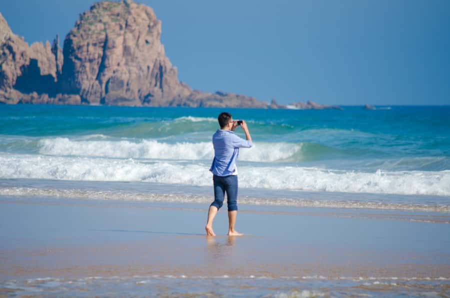 Phillip Island: Penguins and Wildlife Full-Day Tour - Price and value: what $102 really covers