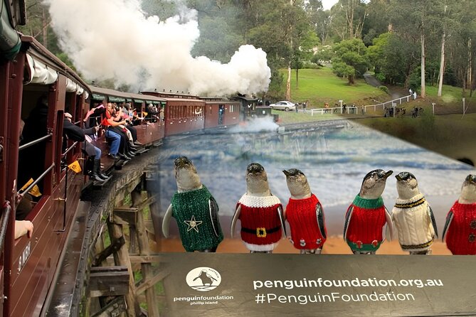 Phillip Island Penguins & Wildlife Day Tour from Melbourne - Moonlit Sanctuary: Your Daytime Wildlife Headliner (With Optional Hand-Feeding)
