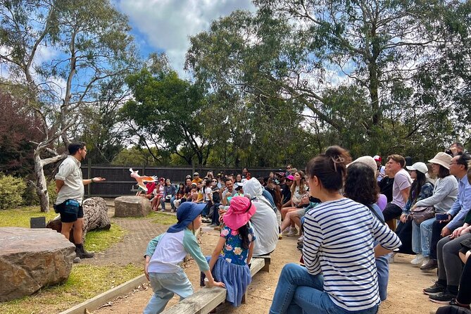 Phillip Island Penguins & Wildlife Day Tour from Melbourne - Pacing and Logistics: What a 12 to 14 Hour Day Feels Like