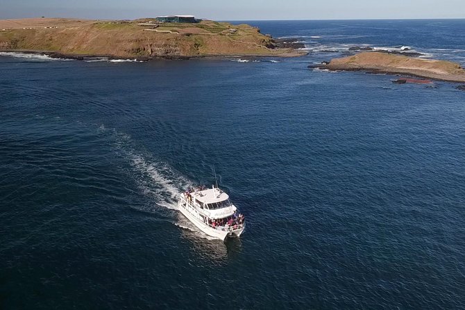 Phillip Island Seal-Watching Cruise - From Cowes Jetty to Seal Rocks: the core experience