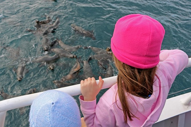Phillip Island Seal-Watching Cruise - Afternoon tea onboard: a small inclusion that boosts the value