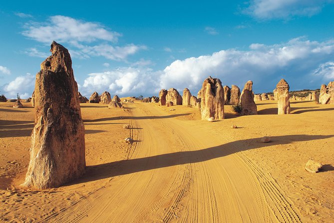 Pinnacles Desert, Koalas and Sandboarding 4WD Day Tour from Perth - The 11.5-hour flow: how the day actually feels from Perth