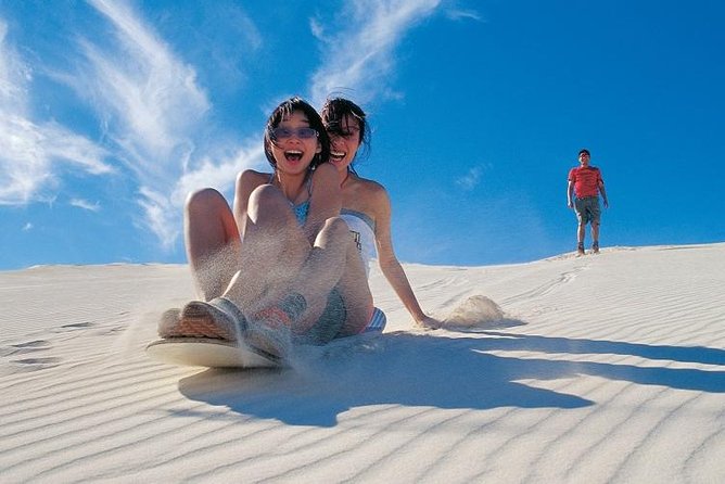 Pinnacles Desert, Koalas and Sandboarding 4WD Day Tour from Perth - Caversham Wildlife Park: koalas, kangaroos, wombats, and that good early-feel