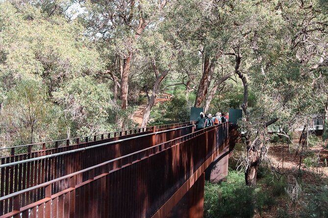 Pinnacles Desert, Koalas and Sandboarding 4WD Day Tour from Perth - Who this tour suits, and who might want a different plan