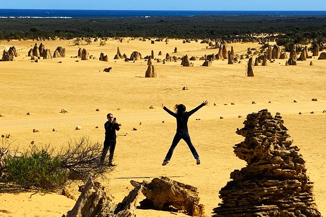 Pinnacles Desert Private Day Tour - Key things that make this Pinnacles tour a smart private day