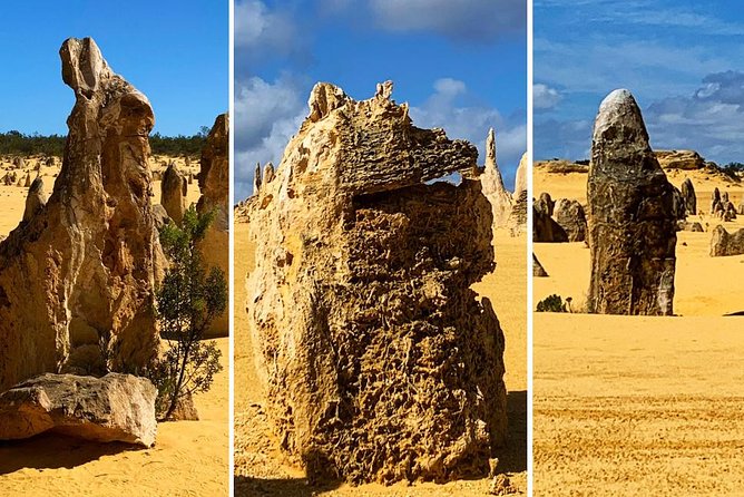 Pinnacles Desert Private Day Tour - Who’s running the show, and why the guide matters