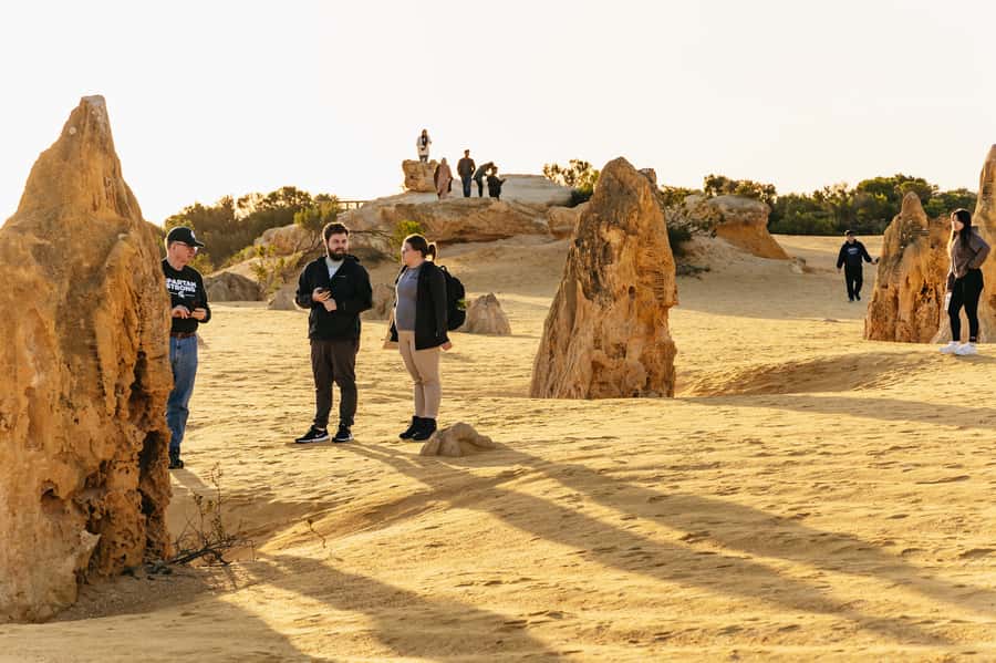 Pinnacles Desert: Sunset BBQ & Stargazing Tour +Sandboarding - The Pinnacles Desert at Sunset: Limestone Oddball Feel Meets Dinner