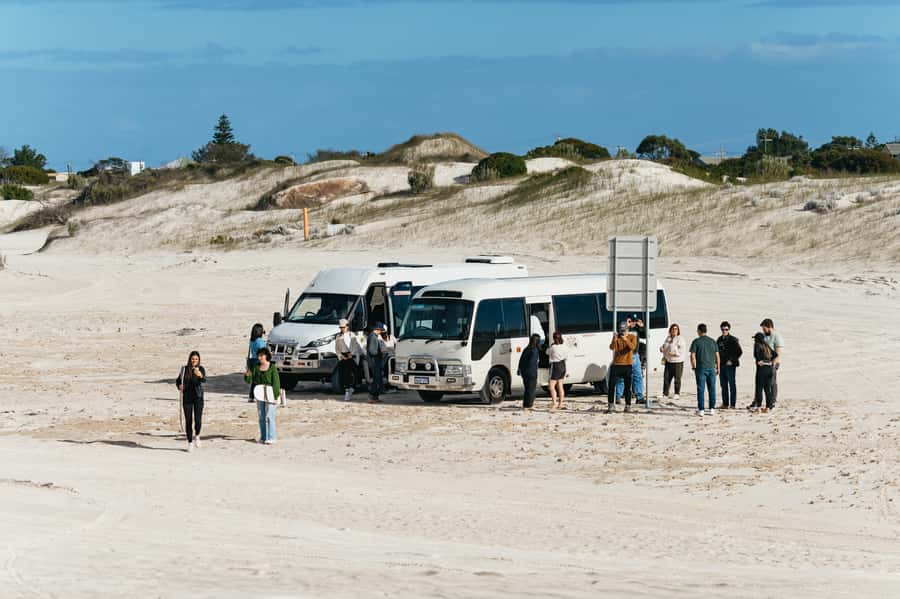 Pinnacles Desert: Sunset BBQ & Stargazing Tour +Sandboarding - Wildlife Chances: Emus and Kangaroos in Their Own Territory