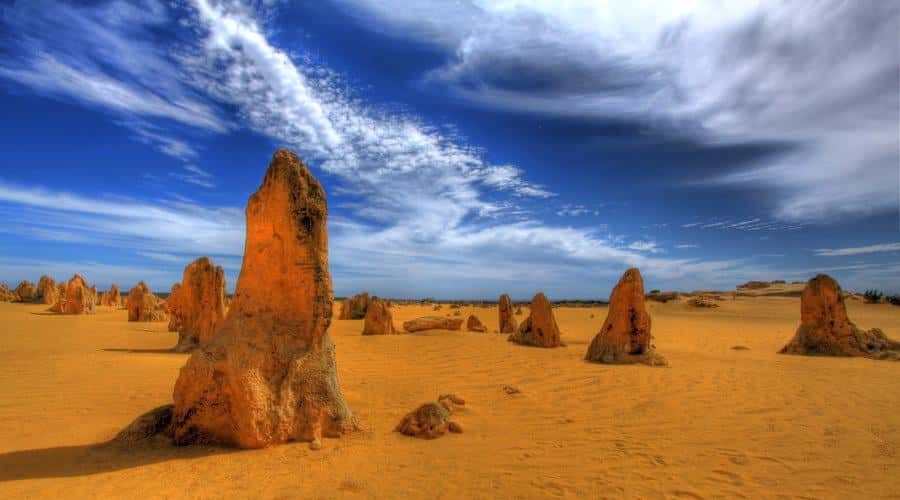 Pinnacles, Koalas & Sandboarding Tour Day Trip from Perth - Key highlights at a glance