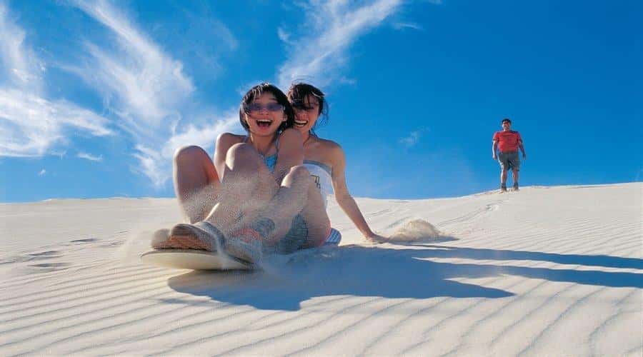 Pinnacles, Koalas & Sandboarding Tour Day Trip from Perth - Swan Valley animal time: koalas, wombats, and kangaroo feeding