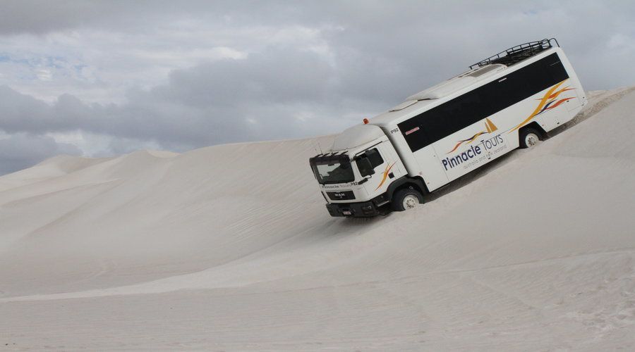 Pinnacles, Koalas & Sandboarding Tour Day Trip from Perth - What to bring so the day feels easy, not annoying