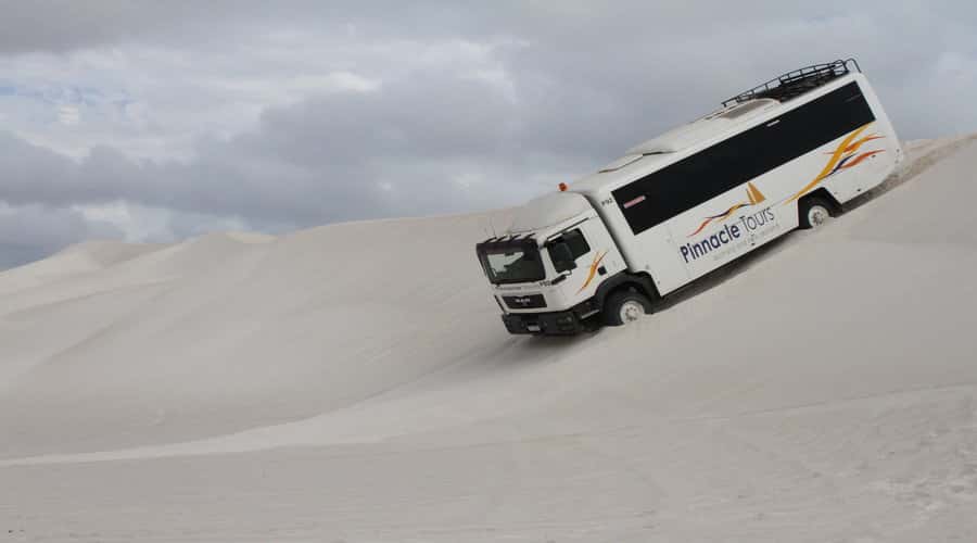 Pinnacles, Koalas & Sandboarding Tour Day Trip from Perth - Cervantes lobster tour plus fish and chips, the coastal palate reset
