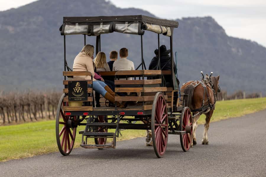Pokolbin: Harvest the Hunter Horse Drawn Carriage Tour 3hrs - Where You Start in Pokolbin, and Why It Matters